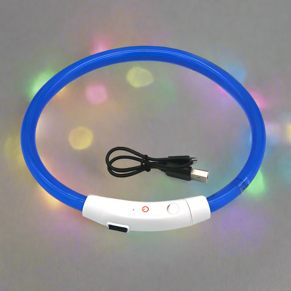 collier lumineux chien regenere bleu
