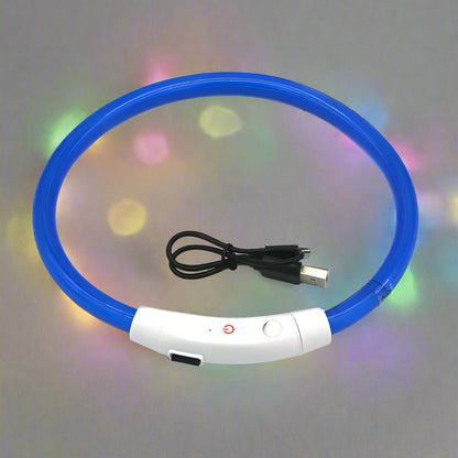 collier lumineux chien regenere bleu
