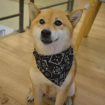 collier pour chien bandana  considerable noir petit