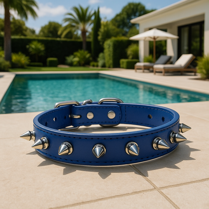 collier pour chien bleu pointe piscine
