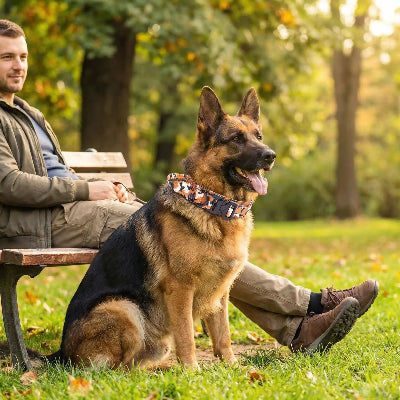 collier pour chien militaire forcanine chien assis a cote son maitre