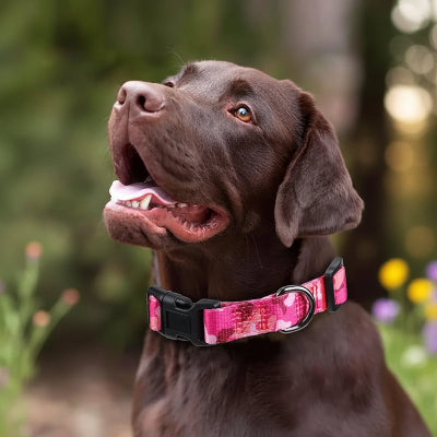 collier pour chien militaire poignée securitaire rose