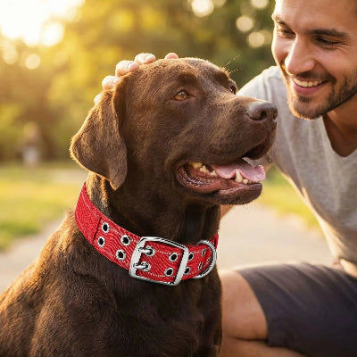 collier pour chien militaire ultra renforcée rouge maitre lui sourit