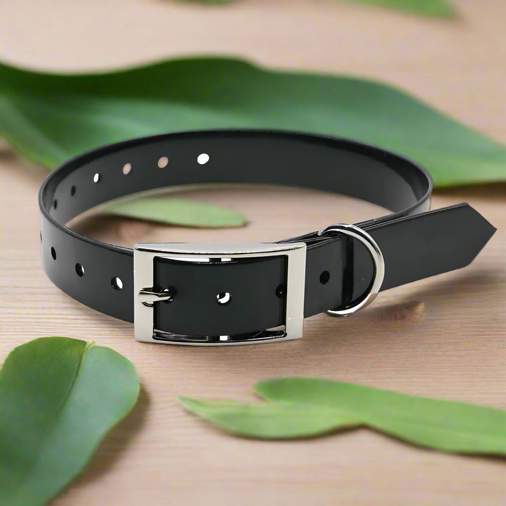 collier pour chien noir boucle