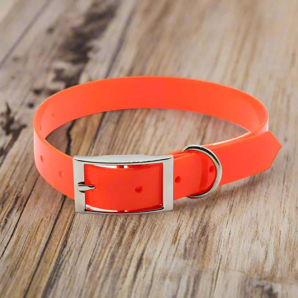 collier pour chien orange