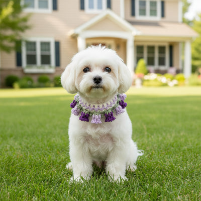 collier pour chien résistant fleur confortable assis sur la pelouse violet
