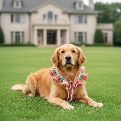 collier-pour-chien-résistant-fleur-confortable-couche-sur-la-pelouse
