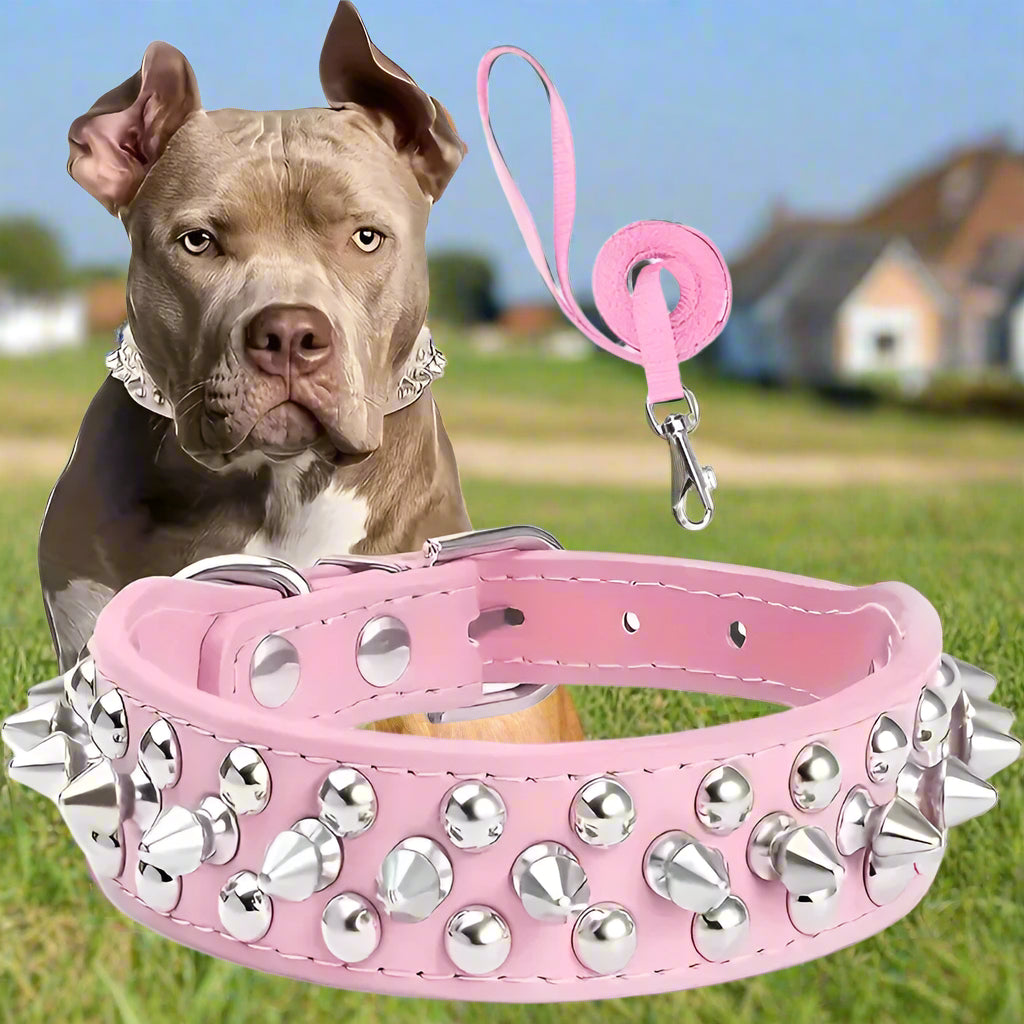 collier pour chien rose cloute maison