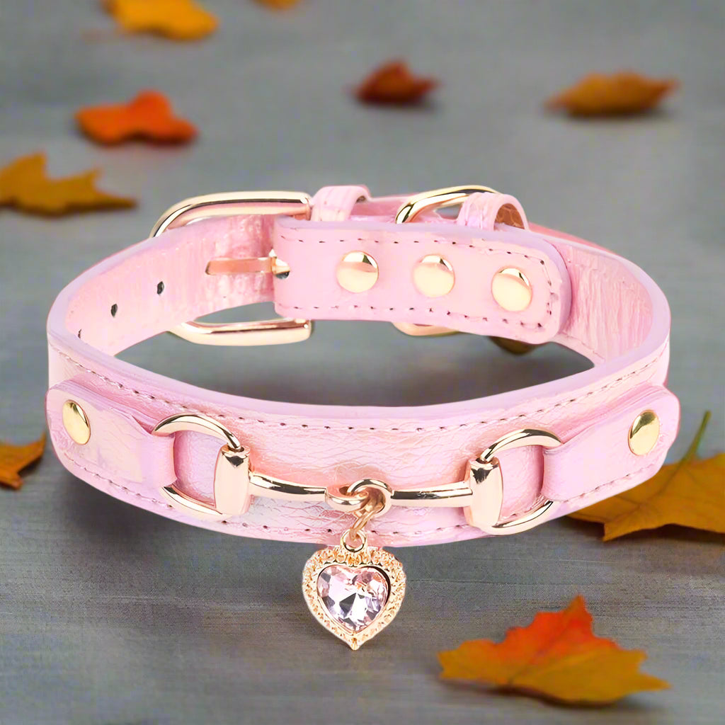 collier pour chien rose dal extreme feuilles 