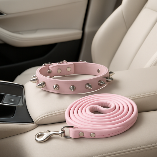 collier pour chien rose voiture globalite