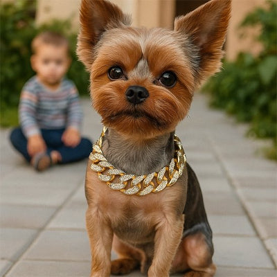 Collier pour chien style robuste or petit chien enfant