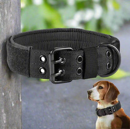 collier pour chien tete chien
