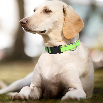 collier pour chien vert indicatif