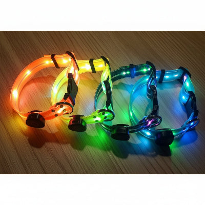 colliers lumineux pour chien orange jaune noir bleu