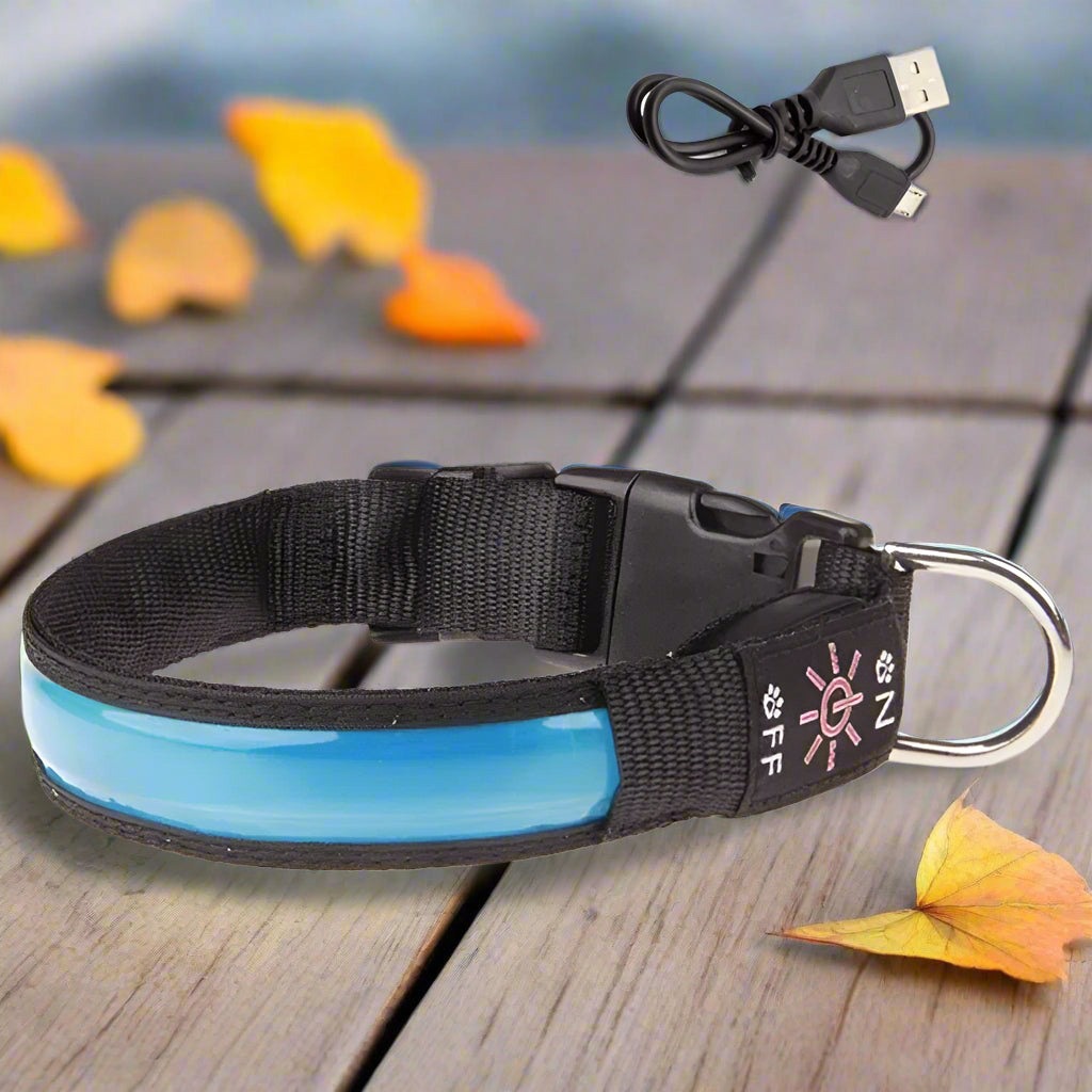 colliers lumineux pour chiens bleu engagement