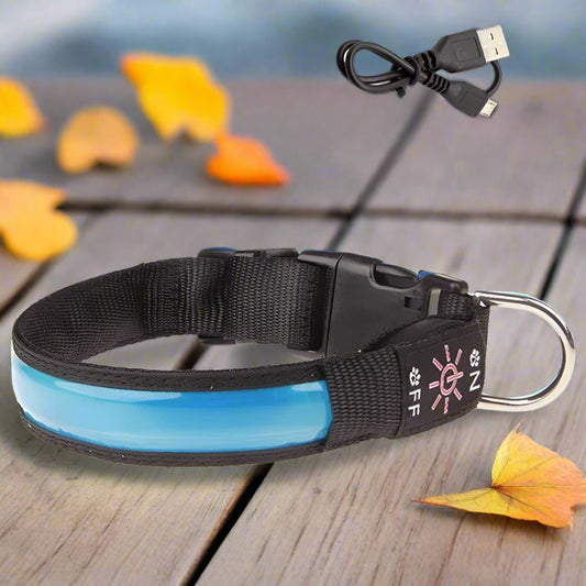 colliers lumineux pour chiens bleu engagement