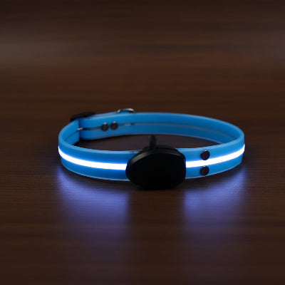 colliers lumineux pour chiens bleu usb