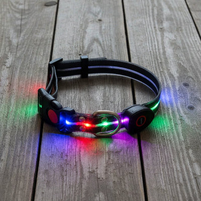 colliers lumineux pour chiens noir allume planche