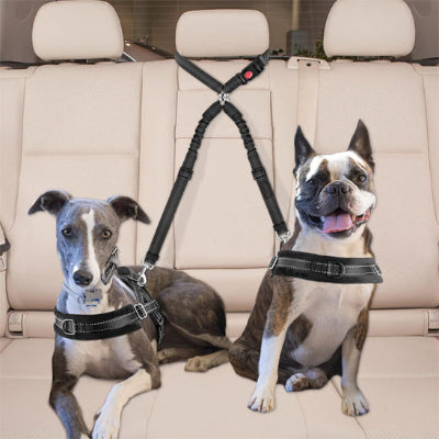 double laisse pour chien couche assis auto