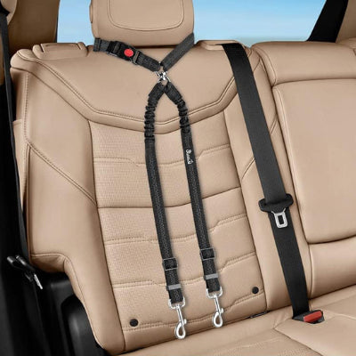  double laisse pour chien noir