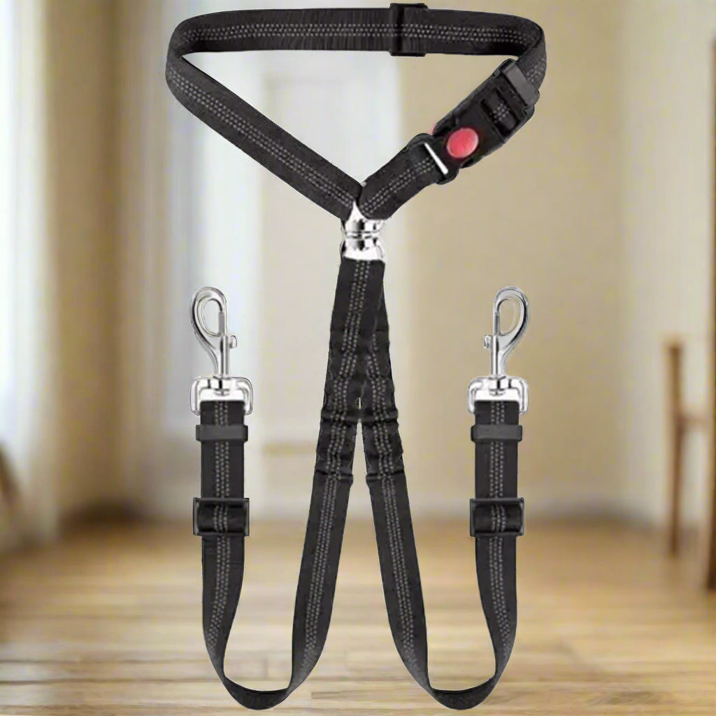 double laisse pour chien pawcontrol noir