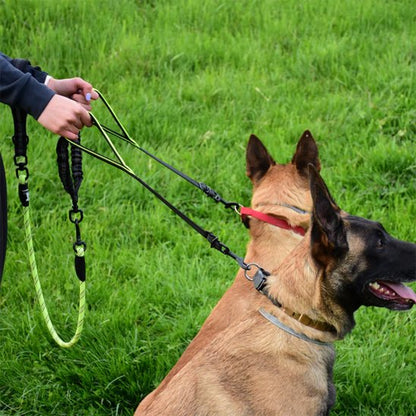double laisse pour chien petwalk vert clair devant