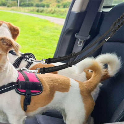 double laisse pour chien siege voiture pelouse