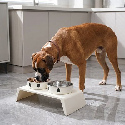 Gamelle chien surélevée réglable en hauteur
bols argenté chien mange dans la cuisine