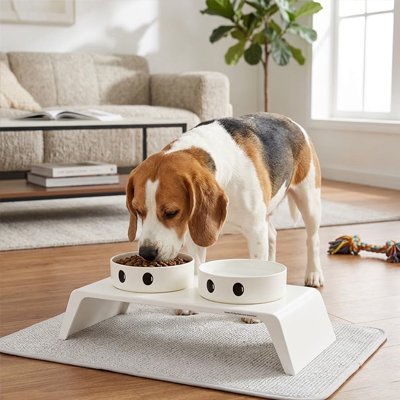 Gamelle chien surélevée réglable en hauteur bols blanc chien mange  