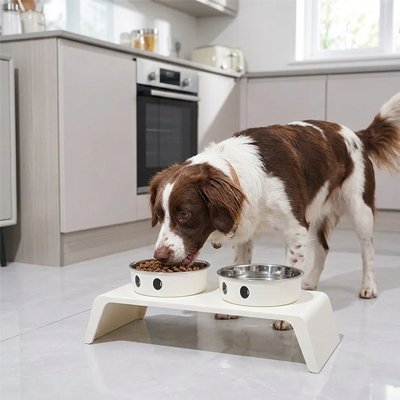 Gamelle chien surélevée réglable en hauteur
chien mange confortablement 