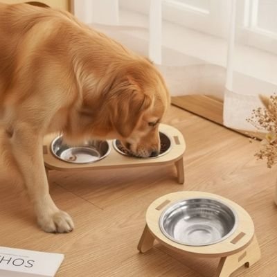 Gamelle chien surélevée solide chien mange devant rideau