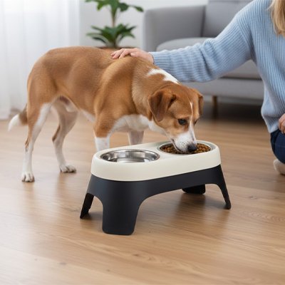 Gamelle chien surélevée super résistante beige maître a côté 