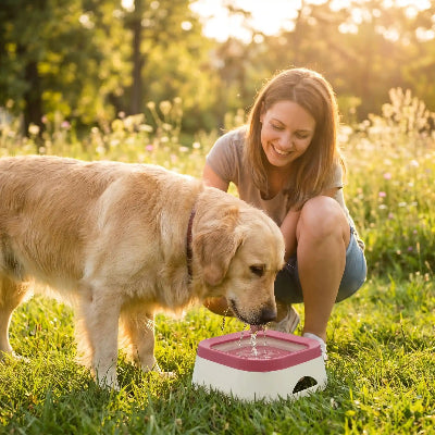 gamelle pour chien antiglisse rose