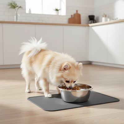 Gamelle pour chien Résistant en force cuisine