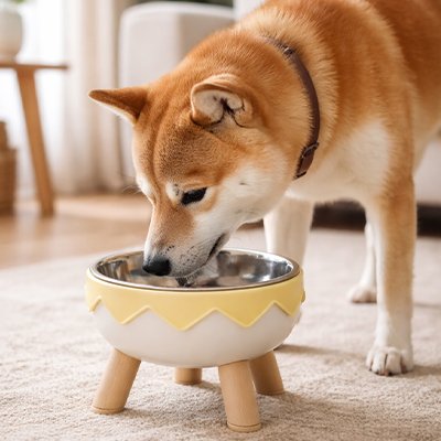 Gamelle surélevée chien sécuritaire jaune