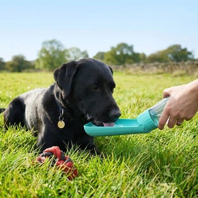 Gourde Chien résistant et sécuritaire bleu maître donne eau à son chien
