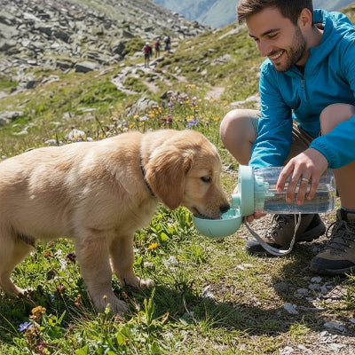 Gourde pour Chien en montagne