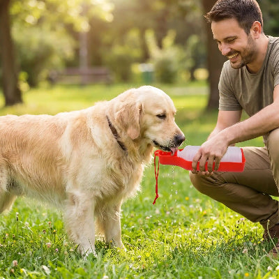 gourde pour chien hydratation facile en balade au parc maître 