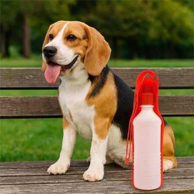 Gourde pour chien hydratation facile en balade chien assis sur un banc