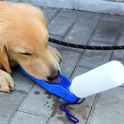 Gourde pour chien hydratation facile en balade chien boit eau au sol
