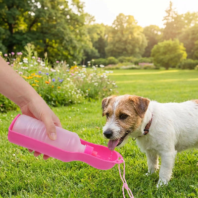 gourde pour chien hydratation facile en balade sur gazon