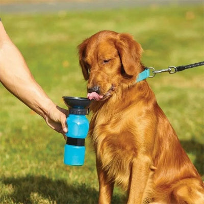 Gourde pour chien portable et pratique ​ assis et boire de l`eau 