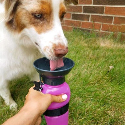 Gourde pour chien portable et pratique rose chien boire eau