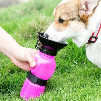 Gourde pour chien​  portable et pratique rose dans la bouche du chien