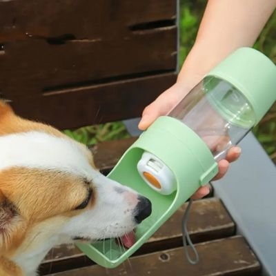 Gourde pour chien voyage serein vert