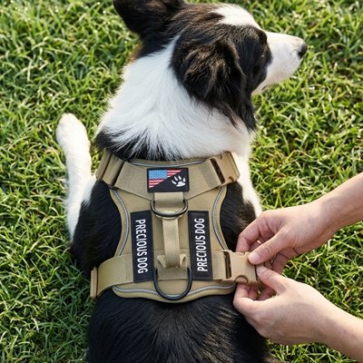 Harnais anti traction pour chien moment en confort maitre attache