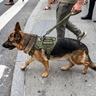 Harnais anti traction pour chien moment en confort vert armée 
