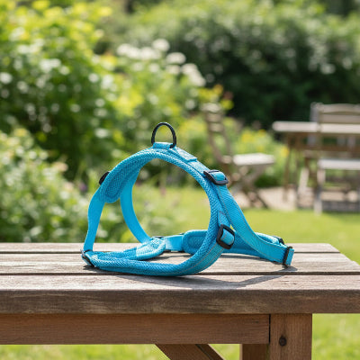 harnais chien anti traction bleu sur banc nature