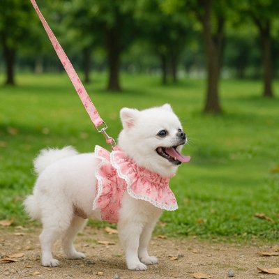 Harnais Chien randonnée  force et confort chien au parc