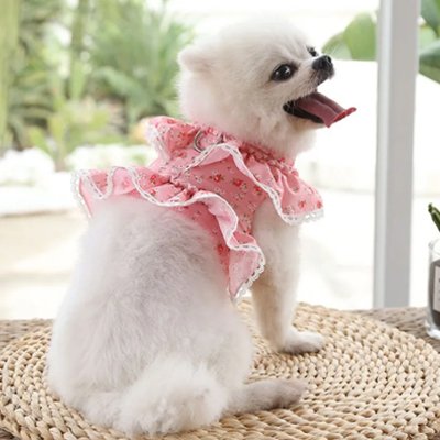 Harnais chien randonnée force et confort rose chien assis